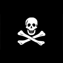 BANDERA PIRATA 30x45CM.