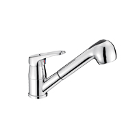 GRIFO MONOMANDO CON DUCHA+TUBO 1,50 MTRS.
