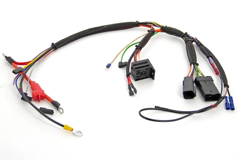 Cableado+dos clavijas para motores M2/M3