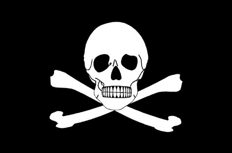 Bandera pirata 20x30
