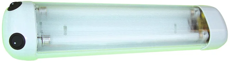 Fluorescente doble