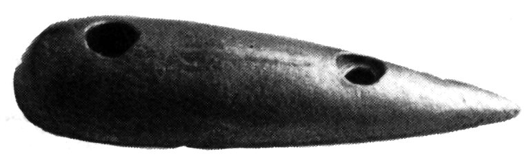 Ánodo de zinc tipo pez de 160 mm.